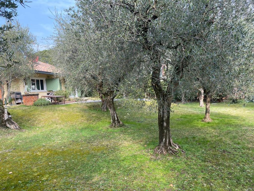 Villa Sweet Flower - With Private Pool And Garden Manerba del Garda Exterior photo