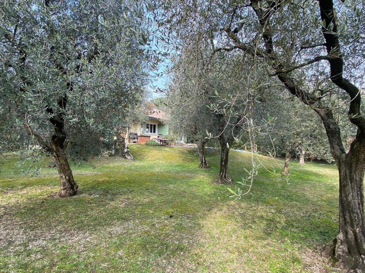 Villa Sweet Flower - With Private Pool And Garden Manerba del Garda Exterior photo